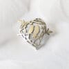 Sweet manifesto Brooch